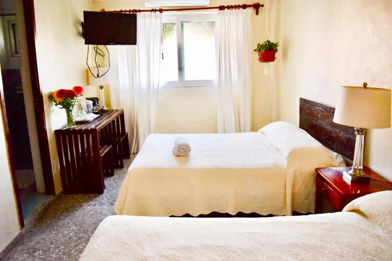Boutique Hotel Delfin 5Th Avenue Playa del Carmen