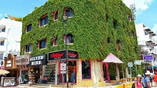 **  Boutique Hotel Delfin 5Th Avenue Playa del Carmen Mexico