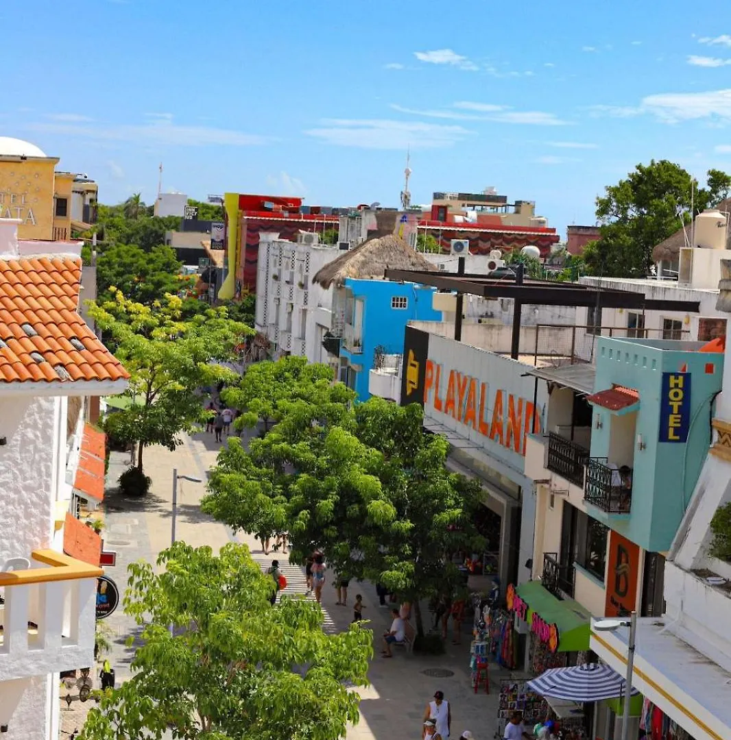Boutique Hotel Delfin 5Th Avenue Playa del Carmen 2*,  Mexico