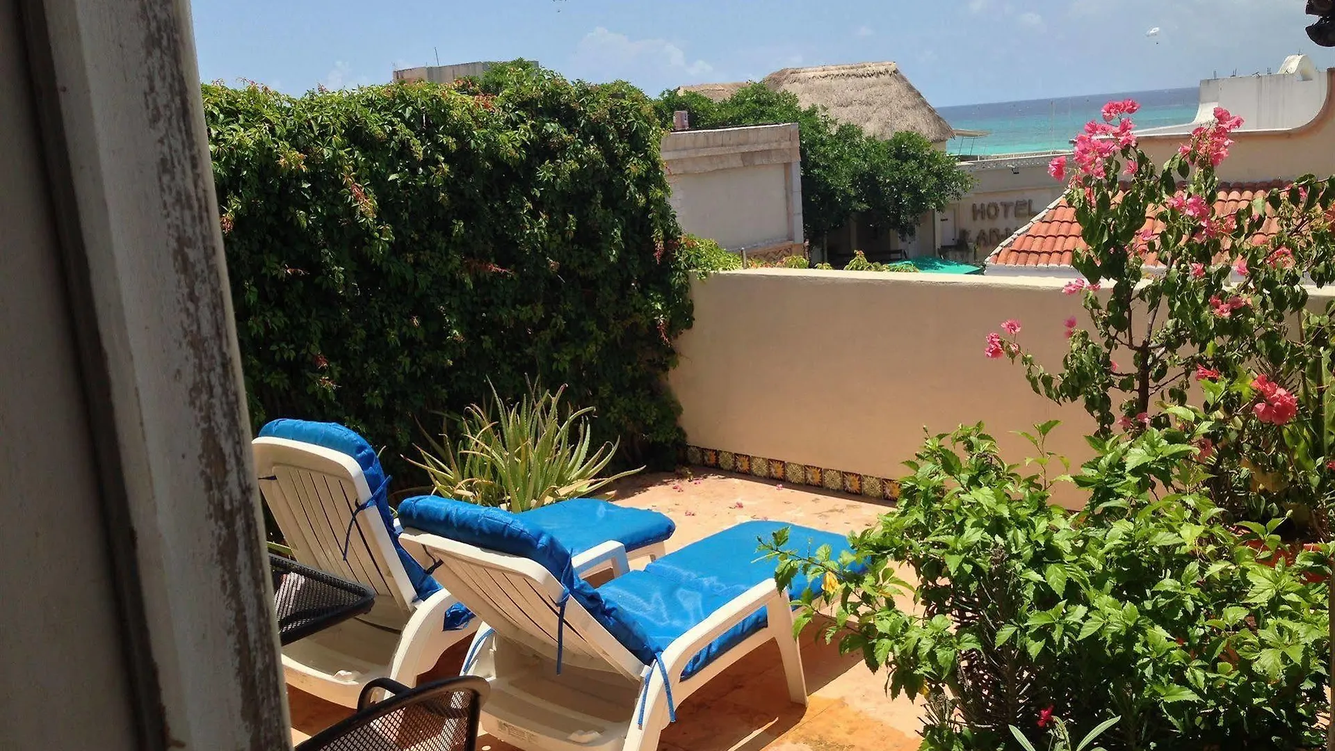 Boutique Hotel Delfin 5Th Avenue Playa del Carmen