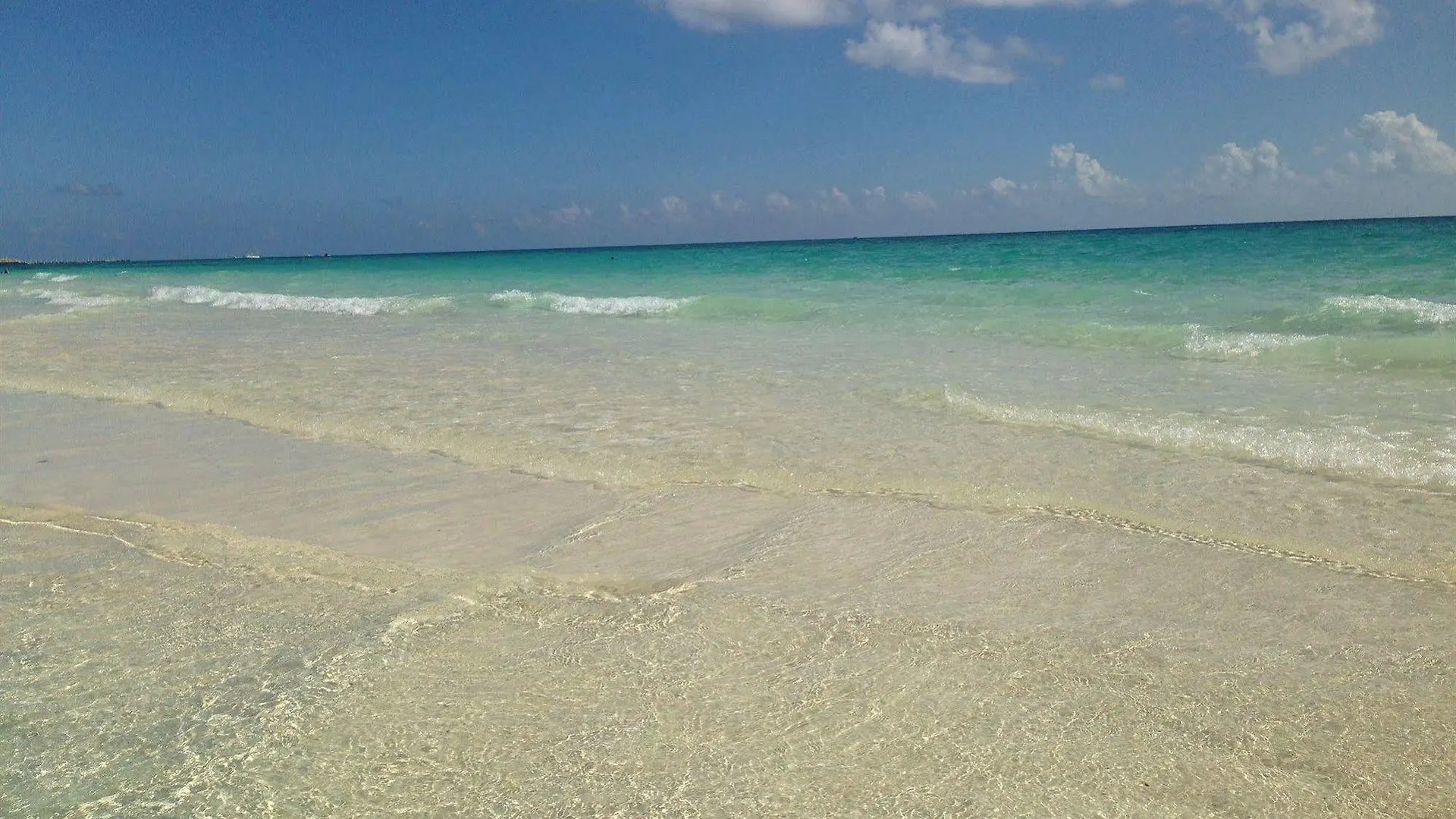 Boutique Hotel Delfin 5Th Avenue Playa del Carmen