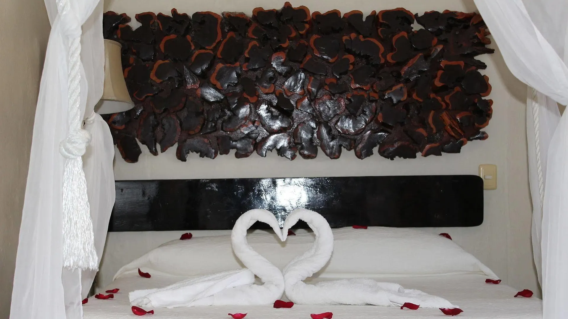 Boutique Hotel Delfin 5Th Avenue Playa del Carmen