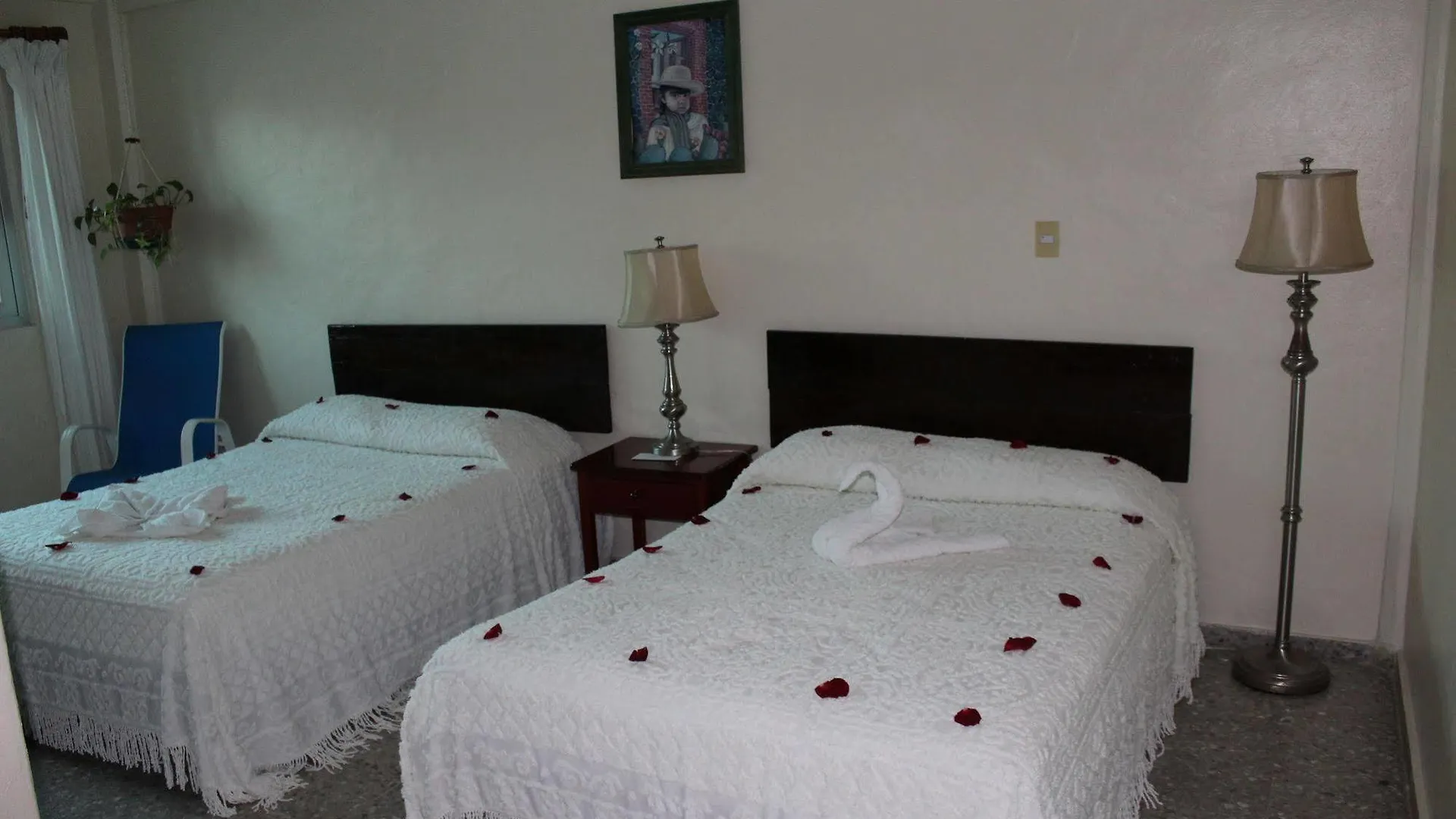 Boutique Hotel Delfin 5Th Avenue Playa del Carmen
